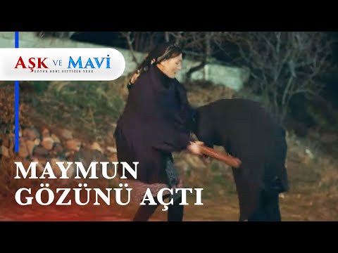 Fatma, Cemal'i ıslak odunla dövdü! 😂 - Aşk ve Mavi 51. Bölüm