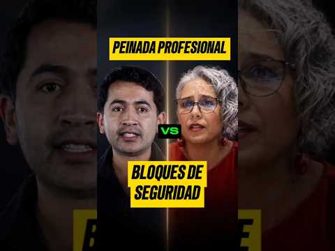 PEINADA COMPLETA A LA SENADORA