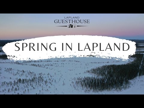 Spring in Lapland