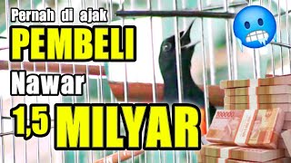 Download lagu In Indonesia, there will never be a Murai like this ‼️ The most amazing version of Bar Bar Duki.. 🤟 mp3 Download lagu In Indonesia, there will never be a Murai like this ‼️ The most amazing version of Bar Bar Duki.. 🤟 mp3