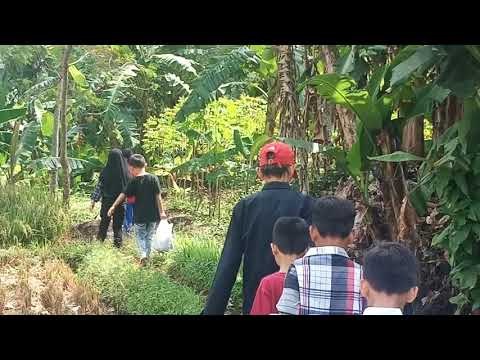 Otw Ngeliwet Anak kampung 6