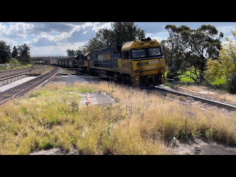 Pacific National NR79 & LDP001 with 2BS4 at East Maitland - 23/8/22