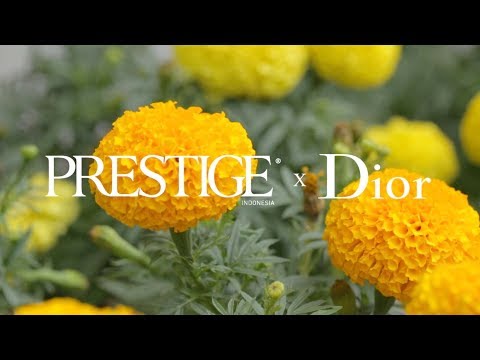 5 Amazing Ladies in Dior Cruise 2019 Collection