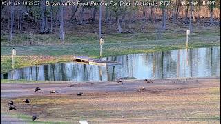 Brownville's Food Pantry For Deer "Richard's PTZ"