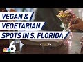 Vegan Spots In South Florida And Tips For Kick Starting A Healthy Lifestyle NBC 6