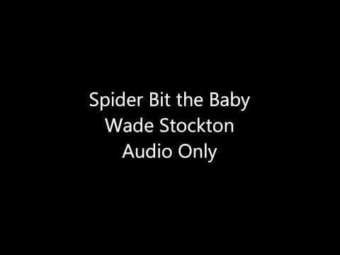 Spider Bit the Baby-Wade Stockton
