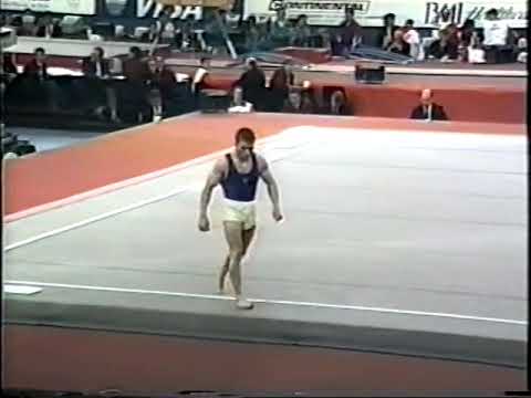 1993 World Gymnastics Championships - Men's Individual All-Around Final (USAG HV)