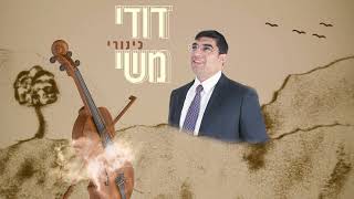 דודי משי -- כינורי  ( קאבר ).
