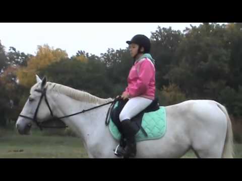 Apró Paták LSE Hagyományőrző Családi Nap