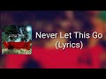 Paramore - Never Let This Go (Lyrics)