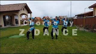 Dame Dame - Claydee feat. Lexy Panterra - Zumba choreo by Z DANCE