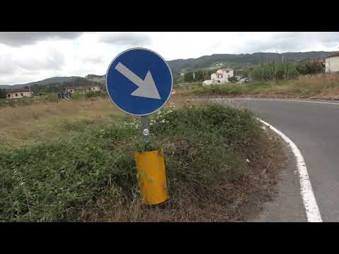 Erba alta e segnaletica abbattuta in una rotonda pericolosa