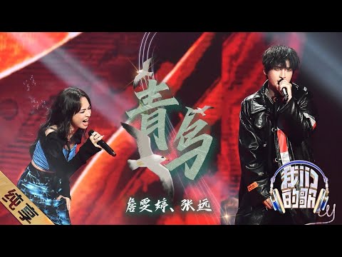 Zhan Wen Ting 詹雯婷, Zhang Yuan 張遠 - 青鸟 Qing Niao