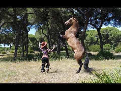 Clémence Faivre - L´écuyère alchimiste