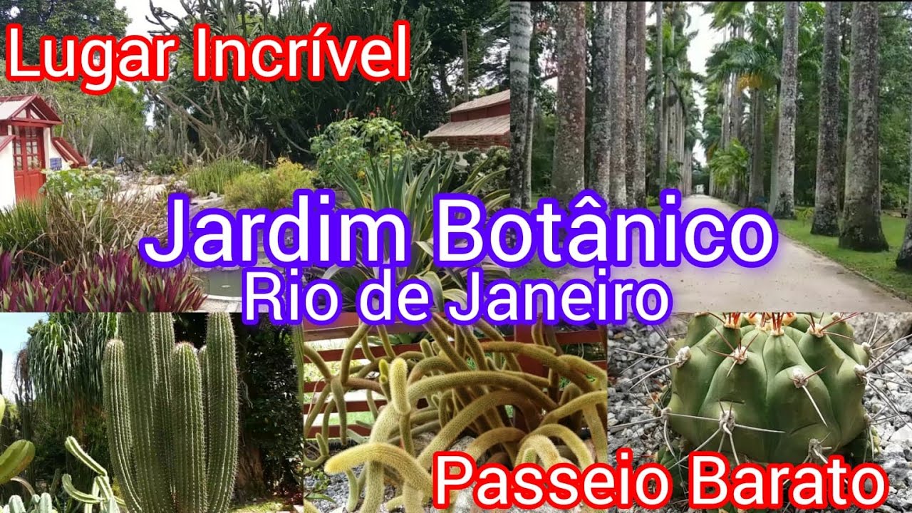 Jardim Botânico do Rio de Janeiro!#jardim#riodejaneiro #cactos #suculentas #plantas #familia