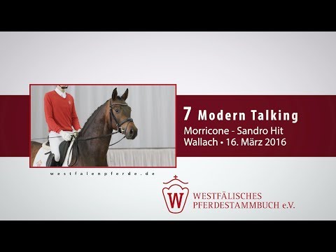 07 Modern Talking Wallach v. Morricone - Sandro Hit