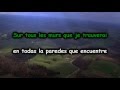 Francis Cabrel - Je T'aimais, Je T'aime, Je T'aimerai Français y Español