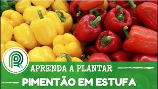 Miniatura do vídeo