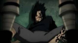 porta - voces del interior