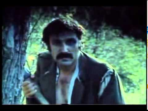 Vlado Bašić-Škripe kapije