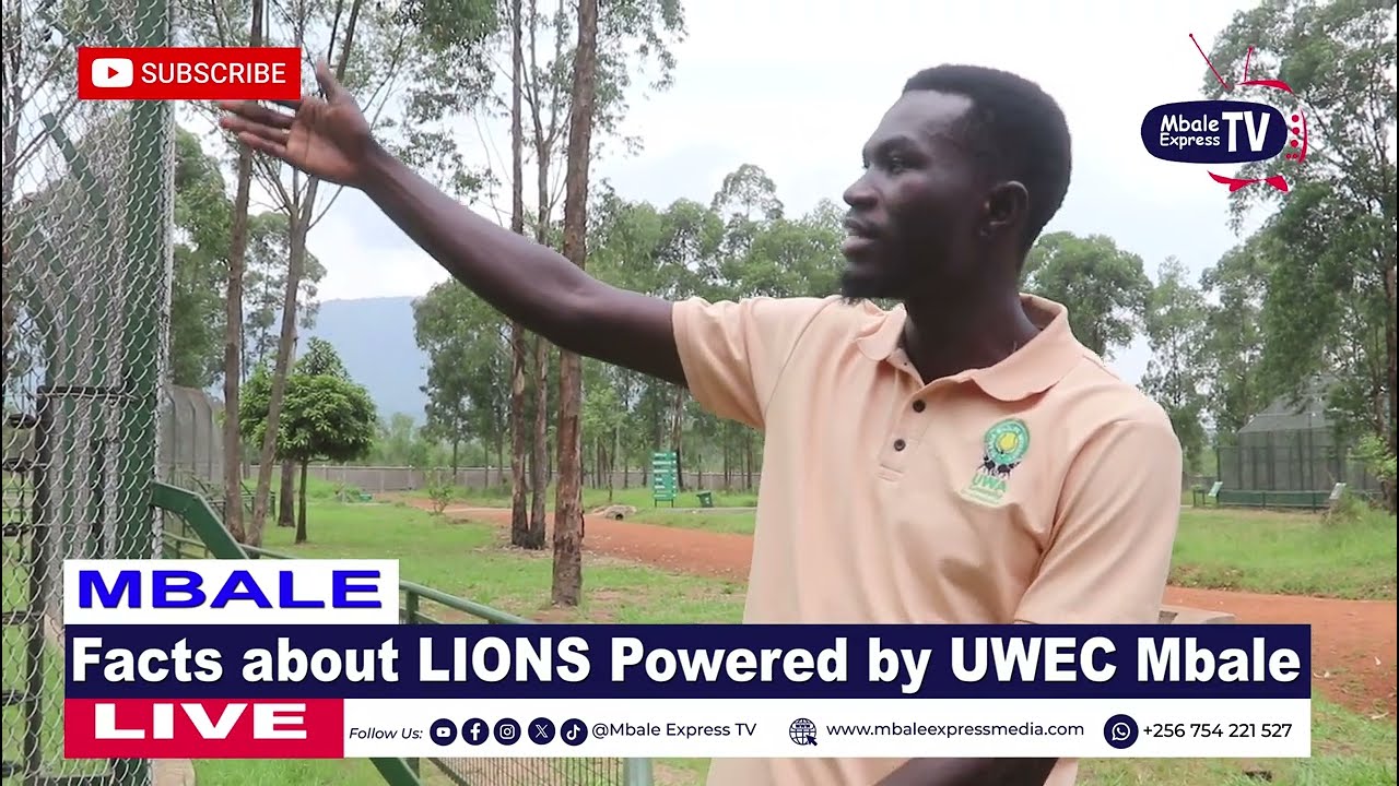 Facts about LIONS powered by Uganda Wildlife Conservation Education Centre Mbale