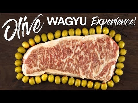 World’s RAREST STEAK Olive Wagyu vs Japanese A5 WAGYU Beef!