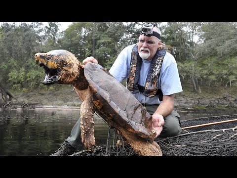 9 Most Terrifying River Monsters!