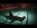 Surviving A Hammerhead Shark Pool Room