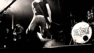 The Vines - Psychomatic