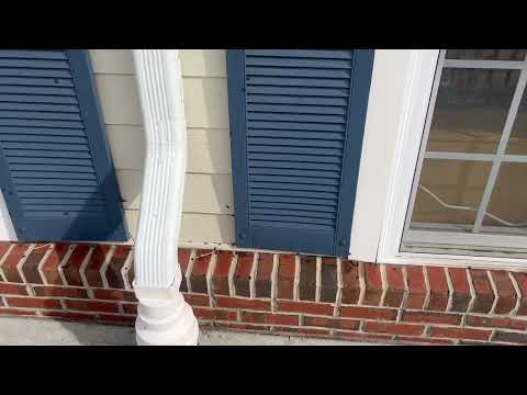 Boxelder Bugs All Over the Home in Monmouth Junction, NJ