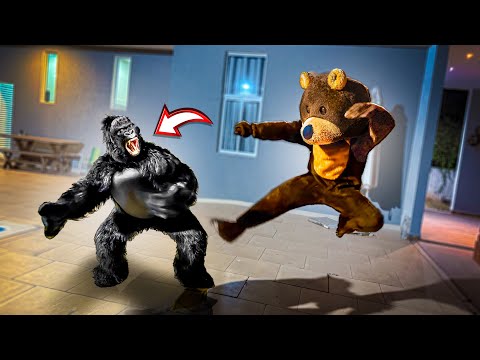 O URSO GIGANTE FICOU BRAVO COM O GORILA MALVADO!!