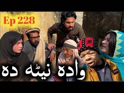 Wada Neta Da ll Khpala Weena Drama Episode 228 By Charsadda Vines Director Sadiq Khan 2025