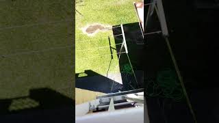 Apartment concrete spawling repair