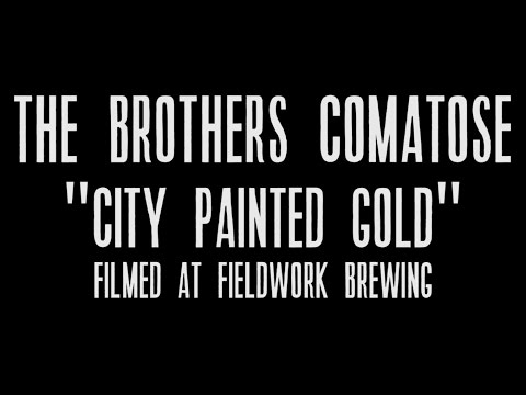 The Brothers Comatose (feat. T Sisters) - City Painted Gold (Live)