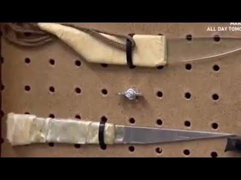 Documentaries Best |The Best Documentary Ever - Life in Prison Survival of the Fittest