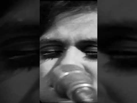 Brotherhood of Man United We Stand