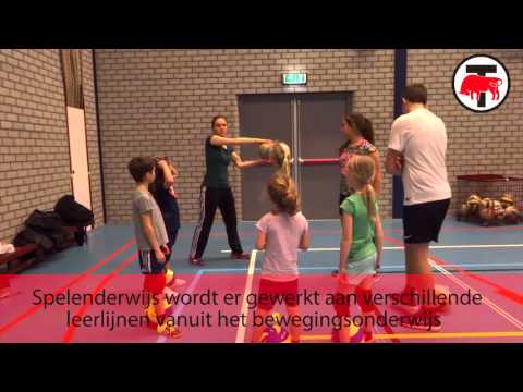 TorroVolleybal Taurus