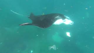 preview picture of video 'Garbage in manta point nusa Penida Bali'