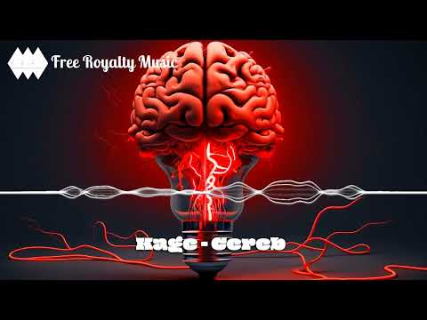 Kage - Cereb / Bass House