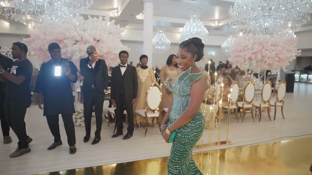 Dr. Temitope Ajayi @ 50 - Taste & Elegance