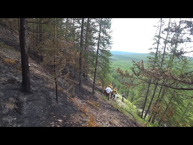 В Иркутской области за сутки ликвидировали 7 лесных пожаров