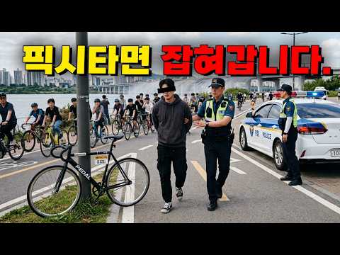 이제 픽시타면 6개월이하 징역형 500만이하 벌금
