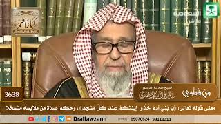 [3638] معنى قوله تعالى: ﴿يا بني آدم خذوا زينتكم عند كل مسجد﴾، وحكم صلاة من ملابسه متسخة