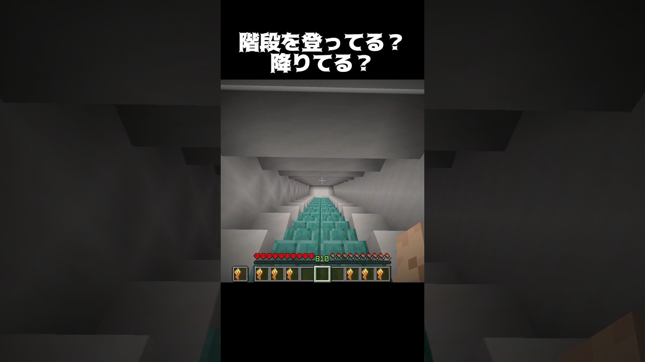 どっちかわかる？ #shorts #マインクラフト #マイクラ