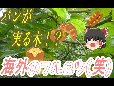 サンシュユ: 果物は食べられますか? 植物