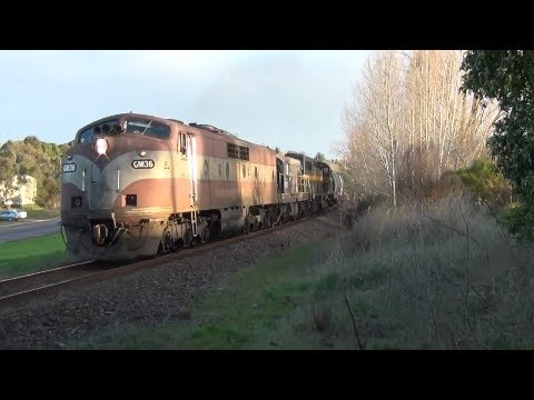 GM36, TL152, C501 El Zorro grain train