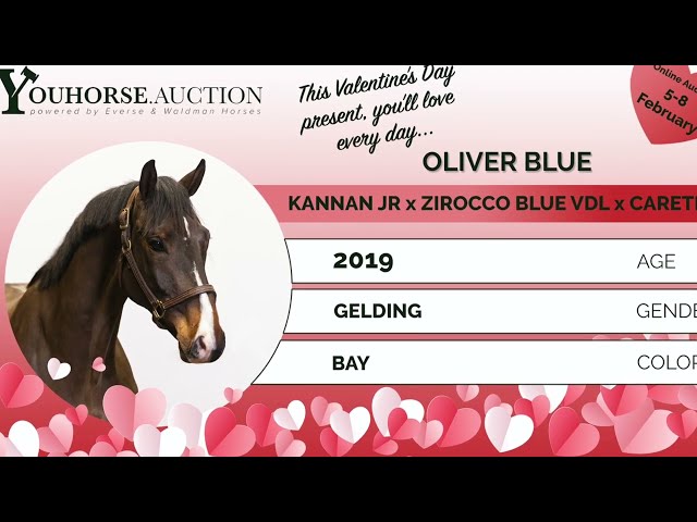 Oliver Blue