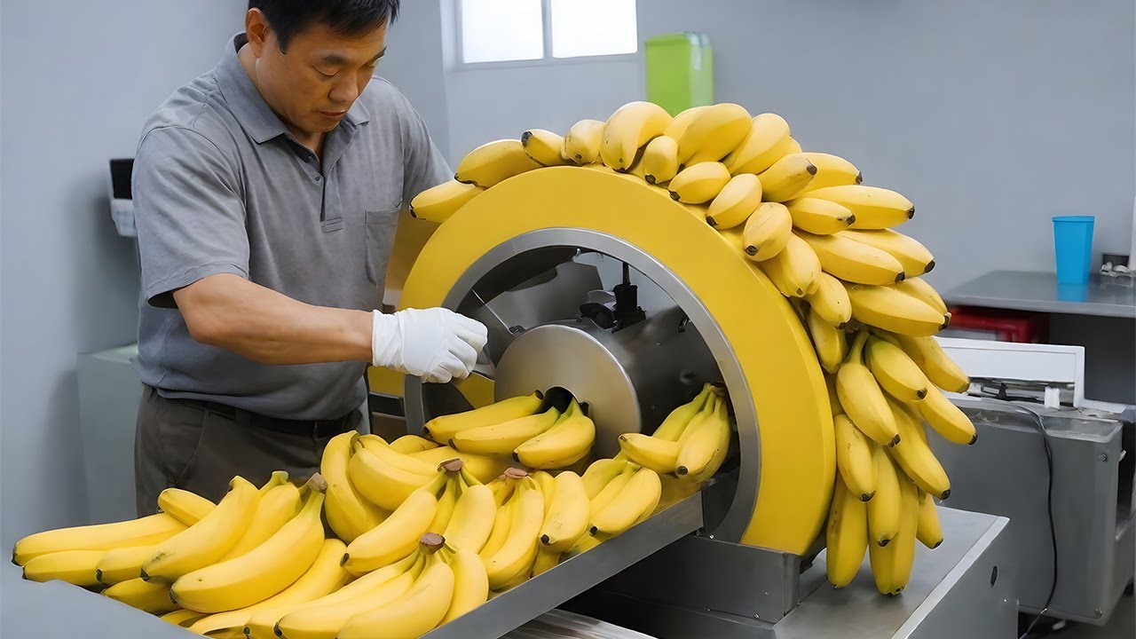 Máy máy thực phẩm