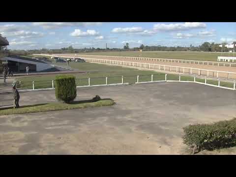 SINT PAYSANDU,  HIPODROMO SAN FELIX 05/09/26 I EN VIVO I URUGUAY