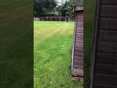 M.P Garden Care & Landscaping video.